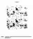 Fig. 08 - Differentially-expressed conifer cDNAs, and their use in improving somatic embryogenesis