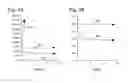 Fig. 09 - Methods and systems for accurately representing corporate financial results in light of equity-based compensation and contingent transactions