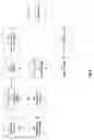 Fig. 07 - Early bill payment process