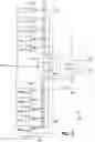 Fig. 04 - Adder circuit with sense-amplifier multiplexer front-end