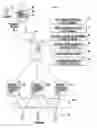 Fig. 01 - Methods and apparatuses for facilitating online communications between parties