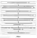 Fig. 05 - Securely identifying an executable to a trust-determining entity
