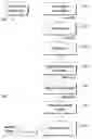 Fig. 01 - Derivation and quantization of robust non-local characteristics for blind watermarking