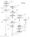 Fig. 06 - Method and apparatus for synchronization of periodic processes