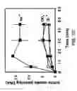 Fig. 05 - Thyroid sodium/iodide symporter and nucleic acid encoding same