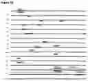 Fig. 05 - Stem cell-specific promoters and their use