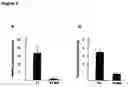 Fig. 08 - Stem cell-specific promoters and their use