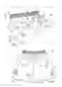Fig. 02 - Front vented swimwear