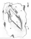Fig. 03 - Self-opening vent or pocket
