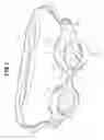 Fig. 02 - Swimming goggles