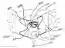 Fig. 01 - Fabric sheet retaining device and method of use