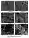 Fig. 06 - Physical and mechanical properties of fabrics by hydroentangling