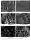 Fig. 07 - Physical and mechanical properties of fabrics by hydroentangling