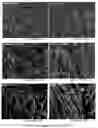 Fig. 08 - Physical and mechanical properties of fabrics by hydroentangling