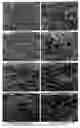 Fig. 12 - Physical and mechanical properties of fabrics by hydroentangling