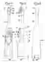 Fig. 02 - Powered toothbrush having a decorative facade