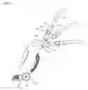 Fig. 09 - Upright type vacuum cleaner having multi joint portion