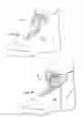Fig. 08 - Shoe support system
