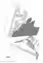 Fig. 04 - Skate boot