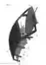 Fig. 08 - Roof unit and basic structure of road-bound vehicle