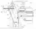 Fig. 01 - Device for transferring articles in a controlled configuration from a feeding line to a receiving line
