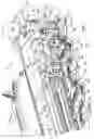 Fig. 02 - Crop converging arrangement on mowing implement equipped with a rotary cutter bar