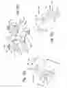 Fig. 08 - Walk-behind lawn mower sulky latch assembly