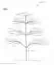 Fig. 02 - Crop stripping apparatus & method