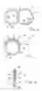 Fig. 02 - Ring of variable configuration