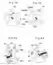Fig. 07 - Coupling structure and coupling method for power transmission