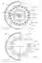 Fig. 11 - Segment of a sensor-supporting element for a scraper-type device