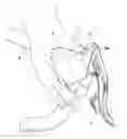 Fig. 01 - Covering sheath for a bicycle component