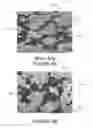 Fig. 06 - Hybrid cemented carbide composites