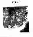 Fig. 22 - Immobilizing device
