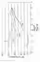Fig. 06 - Continuous process for retaining solid adsorbent particles on shaped micro-cavity fibers