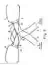 Fig. 08 - V-type multiple-cylinder air intake device