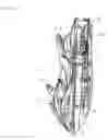 Fig. 03 - Lubricating apparatus for an internal combustion engine