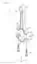 Fig. 06 - Split connecting rod, engine and vehicle