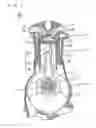 Fig. 19 - Split connecting rod, engine and vehicle