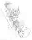 Fig. 03 - Inhalation device