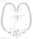 Fig. 01 - Ventilation interface for sleep apnea therapy