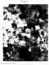 Fig. 02 - Alloy-based nano-crystal texture and method of preparing same