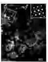 Fig. 06 - Alloy-based nano-crystal texture and method of preparing same