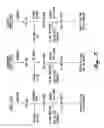 Fig. 07 - Method for making Arundo donax paper product