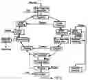 Fig. 01 - Process for reducing contaminants in process water and/or condensate