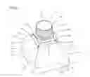 Fig. 02 - Pouring spout for a container and container provided with such a spout