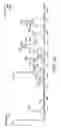 Fig. 09 - Method of using data binning in the analysis of chromatography/spectrometry data