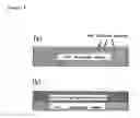 Fig. 05 - Electron-emitting material, manufacturing method therefor and electron-emitting element and image displaying device employing same