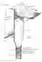 Fig. 02 - Gypsum board remover