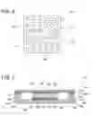 Fig. 05 - Microelectronic device signal transmission by way of a lid